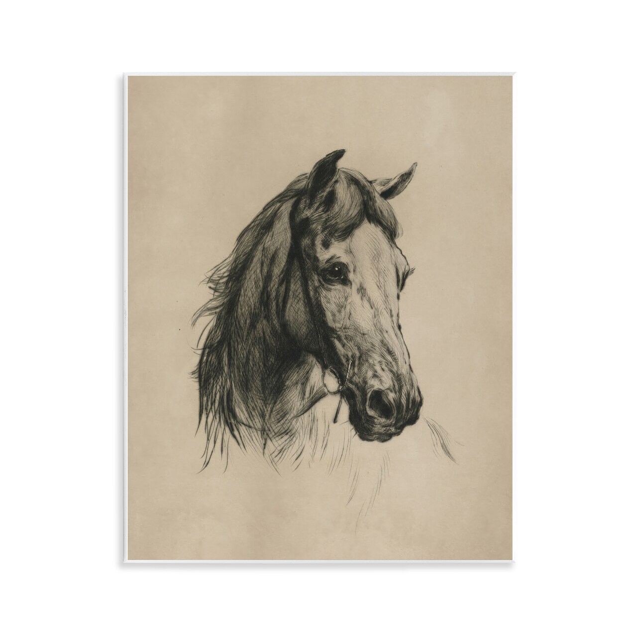 Stupell Industries Charcoal Horse Portrait Wall Plaque By Arlington Prints